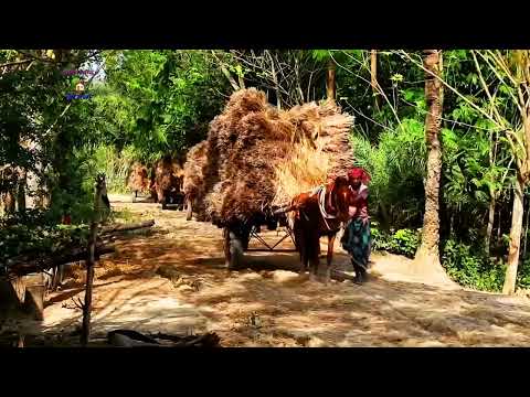 Bangladesh | Raw Beauty | Documentary of Bangladesh | BD Village