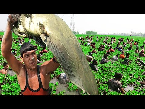 Of course See you! Fishing best with the polo in bangladesh | The full video is real nature fishing.