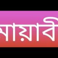 Mayabee (মায়াবী) Lyrics Video Full Song | Blue Touch Bangladesh