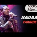 NADAAN PARINDE♪||Full Video song🎧|| coverd by Noble man🎸||Rockstar Movie song||saragamapa  #nobleman