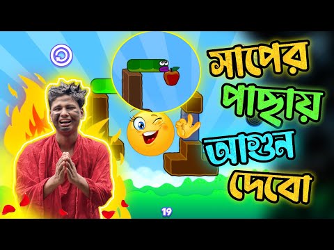 লুইচ্চা সাপ Bangla Funny Video