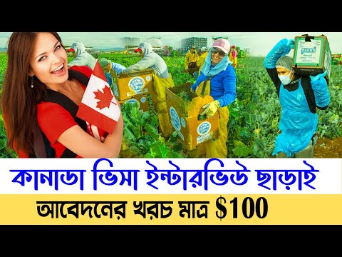 কানাডা ভিসা ইন্টারভিউ ছাড়াই | Canada Tourist Visa from Bangladesh | Canada Work Permit 2022 |