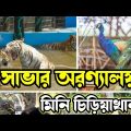 সাভার মিনি চিড়িয়াখানা ।। Savar Mini Zoo ।। অরণ্যালয় ।। Aronnaloy ।। By Travel Bangladesh