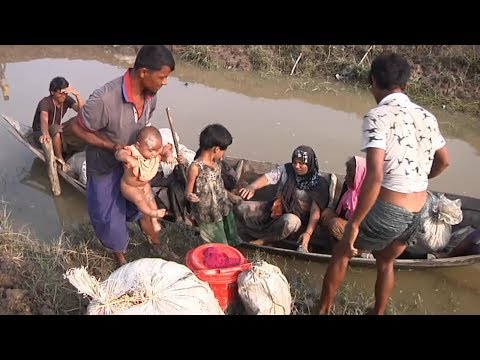 The Rohingya, fleeing for their lives in Myanmar, head for Bangladesh