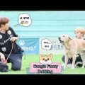 Sweet Puppies With BTS // Bangla Funny Dubbing // run ep-23