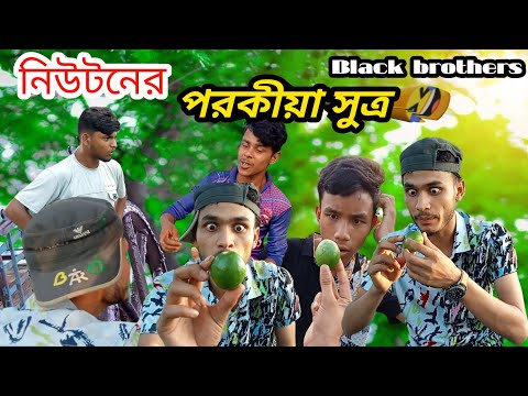 নিউটনের পরকীয়া  সুত্র 🤣 Bangla best funny comedy video | bangla funny video 2022 | Comedy video