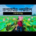 #travel #bangladesh#nature #poddobil