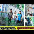 EATING SUGARCANE IN PUBLIC | Bangla New Funny Prank Video | Prankchor