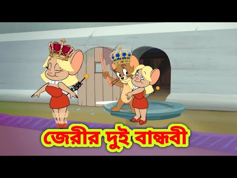 Tom and jerry | Tom and jerry bangla | Bangla tom and jerry |Tom and jerry cartoon