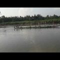 গ্রামের জনপ্রিয় নৌকাবাইচ খেলা! River| Moment With Us| Travel vlog| Travelling| Bangladesh Travel