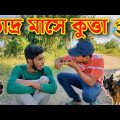 ভাদ্র মাসে কুকুরের কথোপকথন 🤣 || Bangla Funny Video || Malda Memo