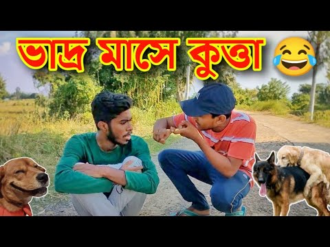 ভাদ্র মাসে কুকুরের কথোপকথন 🤣 || Bangla Funny Video || Malda Memo
