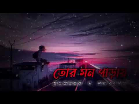 #parayTor Mon Paray (তোর মন পাড়ায়) || Mahdi Sultan || Bangla LoFi Song