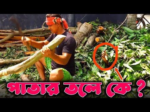 আজকে নালু মিয়ার উচিৎ শিক্ষা হইছে🤣 | শেষ পর্যন্ত দেখুন | Bangla Funny Video | Hello Noyon
