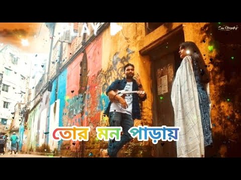 Tor Mon Paray(তোর মন পাড়ায়)| [ slowed and reverb ] Lofi bangla song