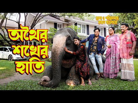 অথৈর শখের হাতি  | othoi shokher hati | অথৈ ও রুবেল  | অনুধাবন | Bangla natok 2022 । Music Bangla TV