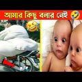 দুনিয়ার সবচেয়ে মজার ভিডিও | Bangla Funny Video | Funny moments caught on camera | Totpor Facts