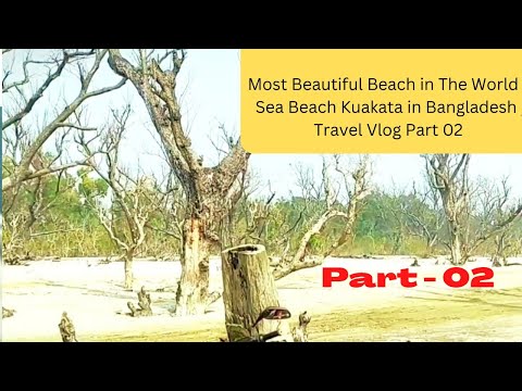 Most beautiful beach in the world / Sea beach Kuakata in Bangladesh / Travel Vlog  Part 02