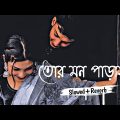 Tor Mon paray  |  рждрзЛрж░ ржоржи ржкрж╛ржбрж╝рж╛ржпрж╝  | Slowed+Reverb Lofi Bangla song | RDK lofi bangla | #banglalofi