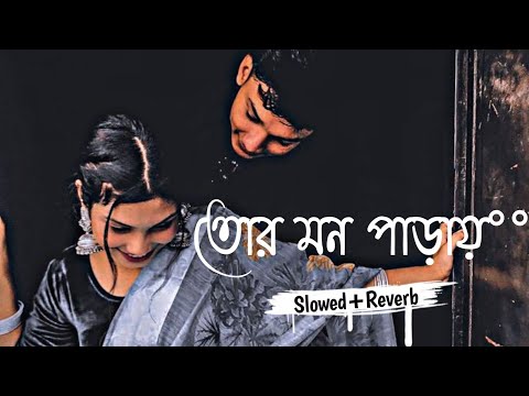 Tor Mon paray  |  তোর মন পাড়ায়  | Slowed+Reverb Lofi Bangla song | RDK lofi bangla | #banglalofi