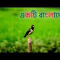 একটি বাংলাদেশ | সাবিনা ইয়াসমিন | দেশাত্মবোধক গান | Ekti Bangladesh | Bengali Patriotic Song.