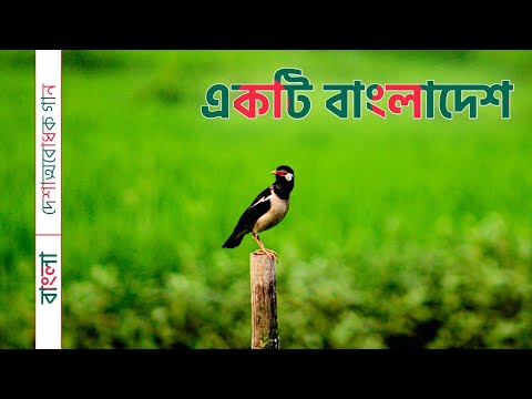 একটি বাংলাদেশ | সাবিনা ইয়াসমিন | দেশাত্মবোধক গান | Ekti Bangladesh | Bengali Patriotic Song.