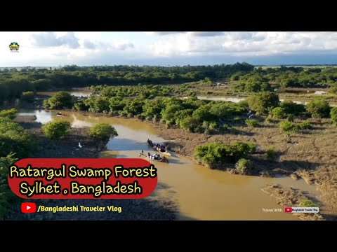 Ratargul Swamp Forest(সিলেট) | Cylhet Bangladesh | Travel Video 2022 | Bangladeshi Traveler Vlog