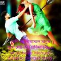 desi Bhalobasa Manush dukkho ডাটা #ভালবাসা  Protidan#bangladesh#bangla,asd,song #fairmusicandvloge