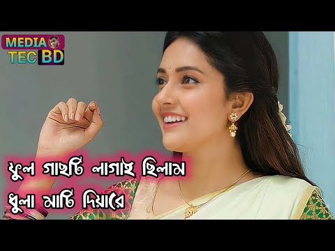 ফুল গাছটি লাগাইছিলাম bangla folk song bangladesh.. media tec bd songs