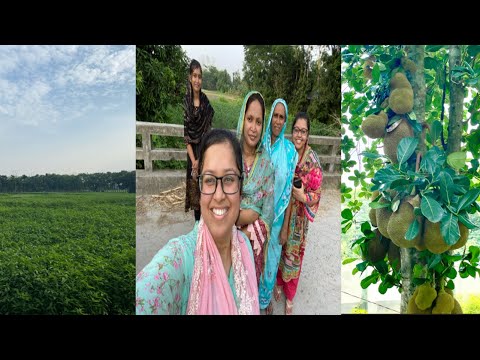 Visit to Chandpur | Bangladesh travel Vlog 2 #bangladesh #travel #dhaka #chandpur #vlog