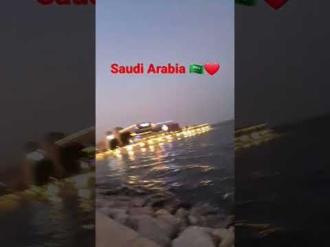Saudi Arabia 🇸🇦❤️🇧🇩#shots #shortvideo #travel #bangladesh #treand ।। Bristy khan vlogz