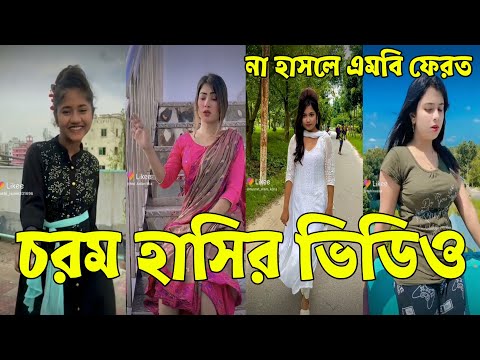 Bangla 💔 Tik Tok Videos। চরম হাসির টিকটক ভিডিও (পর্ব – 54)।Bangla Funny Tik Tok Video # RMP # LTD