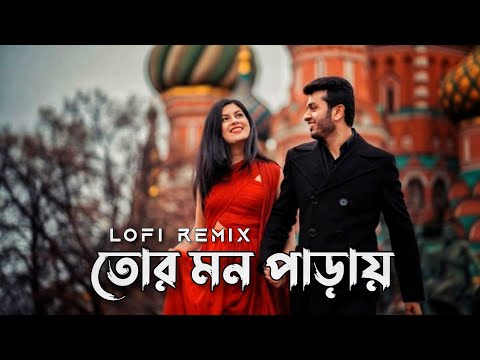 Tor Mon Paray (তোর মন পাড়ায়) || Mahdi Sultan || Bangla LoFi Song