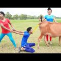 Very Funny Amazing Top Comedy Video 2022😜comedy video 2022 Episode 174 By Funny Day