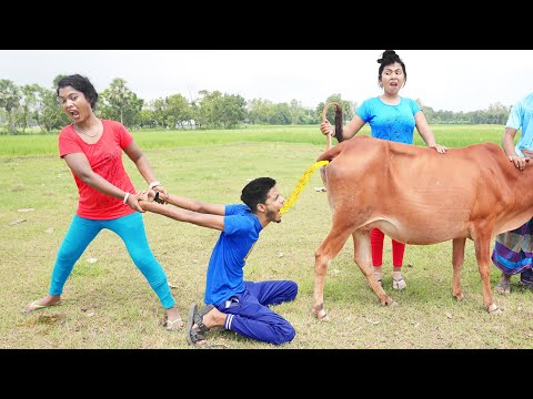 Very Funny Amazing Top Comedy Video 2022😜comedy video 2022 Episode 174 By Funny Day