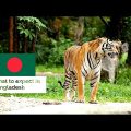 Bucket list places to see in Bangladesh 2021 – Drone Travel Video