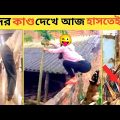 বেকুবদের কান্ড 😂 1 | Bangla New Funny Video | Asthir Bangalir Kando | Mayajaal | Fact Bangla| #Funny