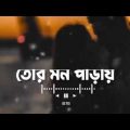 #parayTor Mon Paray (তোর মন পাড়ায়) || Mahdi Sultan || Bangla LoFi Song