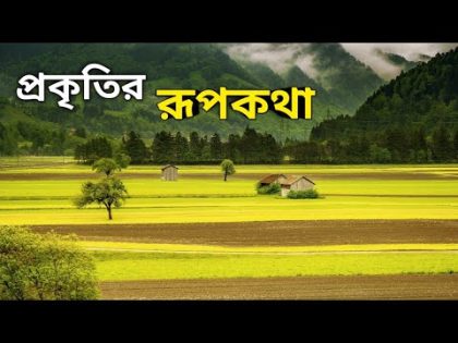 Village Natural Beauty | Bangladesh Village Cinematic Video | #Travel Video, #village