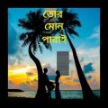 Tor Mon Paray (তোর মন পাড়ায়) || Mahdi Sultan || Bangla LoFi Song