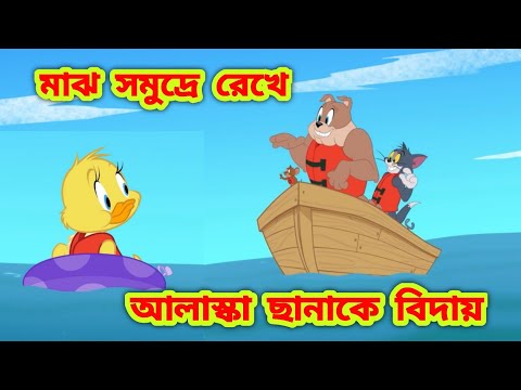 Tom and jerry bangla | Bangla tom and jerry | Tom and jerry cartoon | Tom and jerry cartoon