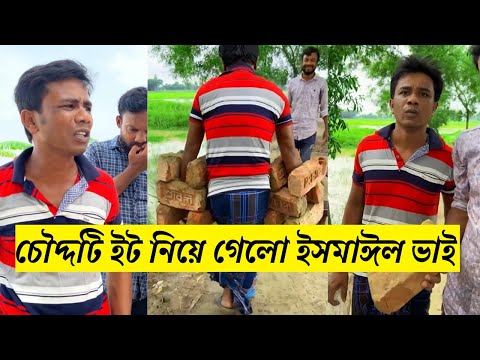 চৌদ্দটি ইট নিয়ে গেলো ইসমাঈল ভাই | অবাক ব্যাপার ! ইসমাঈল ভাই ! H M Enamul Hasan