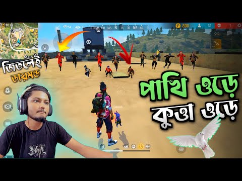 পাখি ওড়ে বাতাস ওড়ে Bangla Funny Video By Gaming with talha