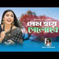 আমি চাইনা বাড়ি গাড়ি আর | Prem hoye gelo re | tiktok viral song |@Rubel Khandokar | Bangla New Song