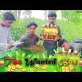 The Wanted Box | Bangla Funny Videos | Crazy Brothers 1m | comedy Video | Funny Video 2022
