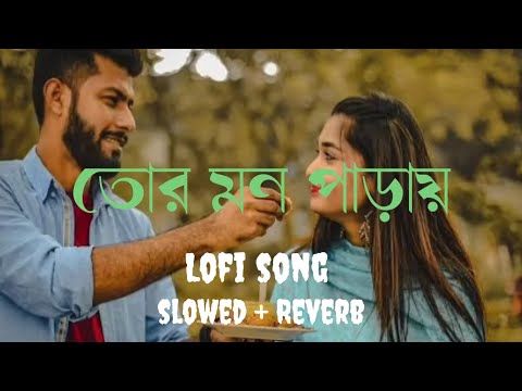 Tor Mon paray (তোর মন পাড়ায়) || Mahdl Sultan || Bangla Lofi Song|| Godstar music