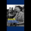 Queen Elizabeth II: how her reign began #shorts