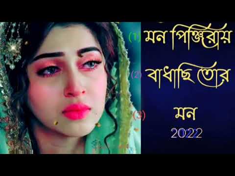 Mon Pinjiraffest | Rakib Musabbir | Shilpi Biswas | Official Music Video | Bangla Song 2022