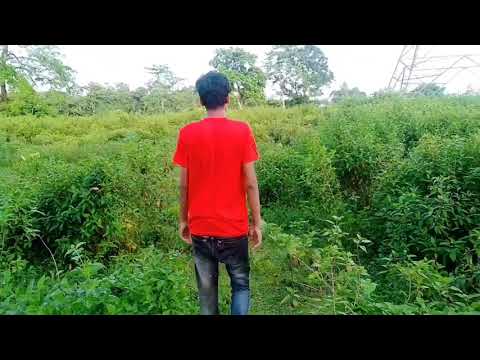 Bangla funny video