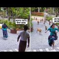 পশু পাখিদের মজাদার কান্ড ক্যামেরায় ধরা পড়া🤣Animal funny video। Mayajaal।jk info Bangla।funny animal